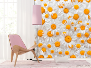 Фотошпалери Ромашки яскраві - 4