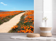 Фотошпалери Стежка, мак - 2