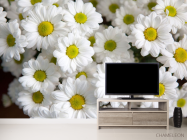 Фотообои Ромашки белые - 2