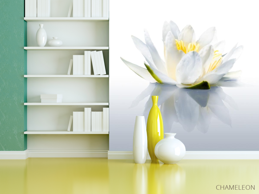 Фотообои водяная лилия - 3