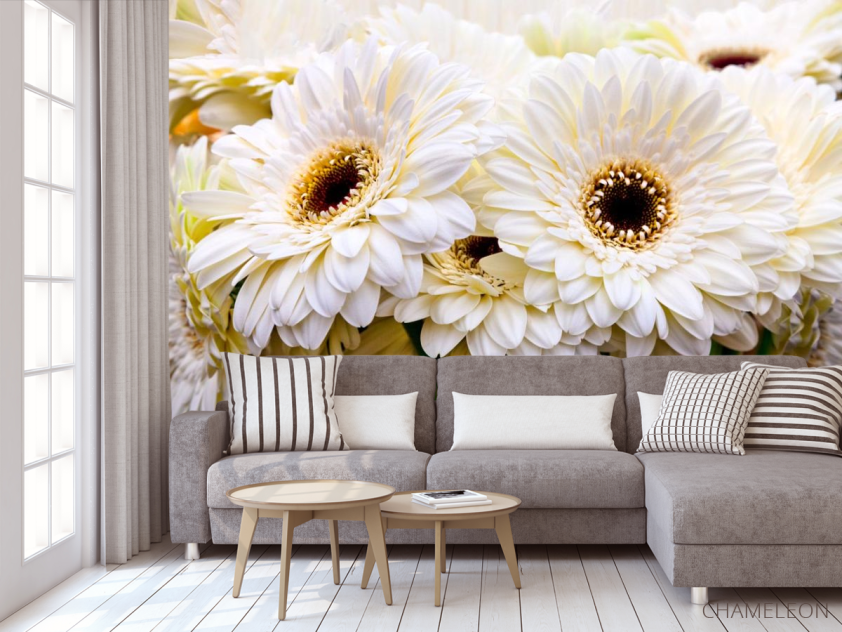 Фотообои кремовая гербера - 3