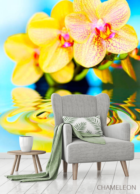 Фотообои Желтые орхидеи - 3