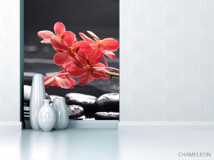 Фотообои Коралловые цветы - 1