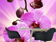 Фотошпалери леопардова орхідея з сяйвом - 1