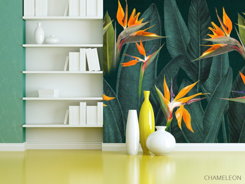 Фотошпалери квіти стреліції - 3