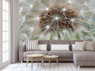 Фотообои Одуванчик - 3