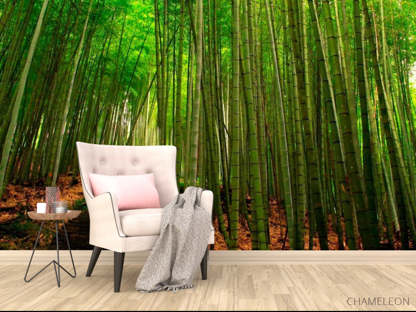 Фотообои Бамбук, тропинка - 4