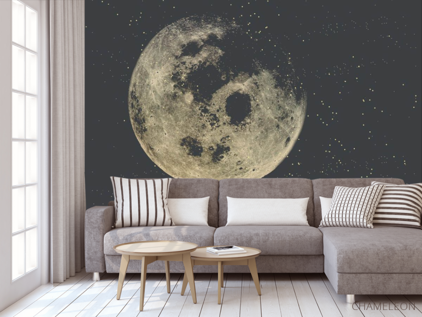Фотообои луна - 3