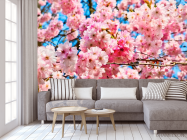 Фотообои Цветение розового дерева - 3