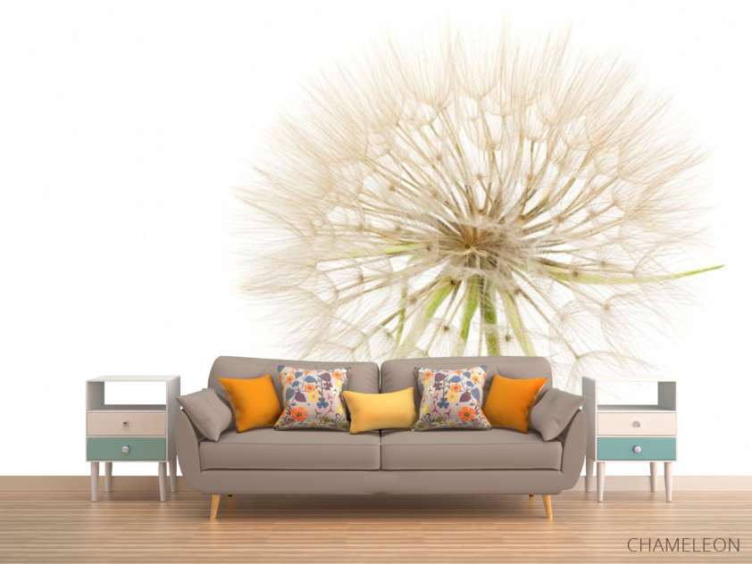 Фотообои одуванчик - 1