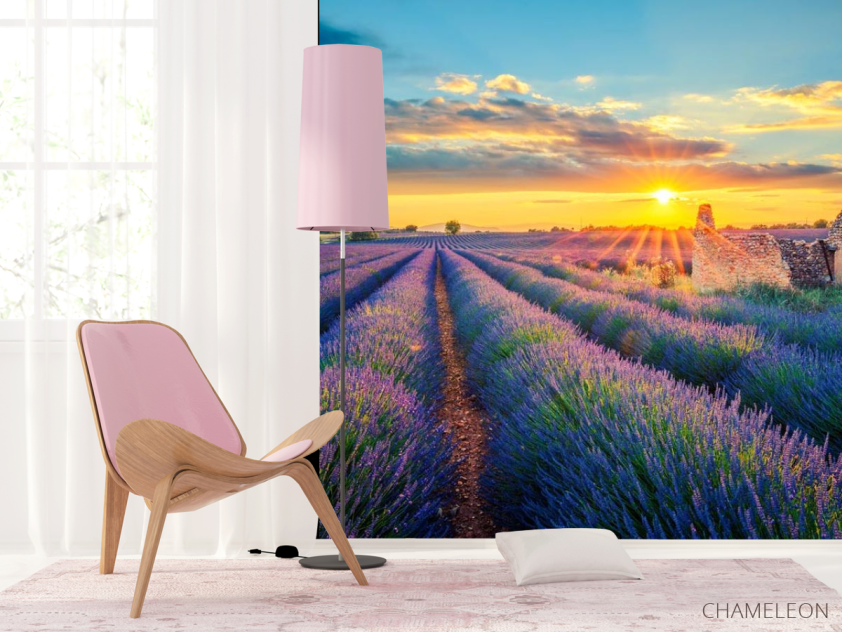 Фотошпалери зруйноване будиночок у лавандовом полі - 4