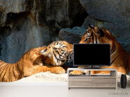 Фотообои Нежность тигров - 2