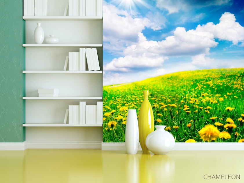 Фотошпалери Хмари, небо, луг - 3