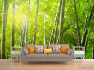 Фотообои бамбуковый лес - 1