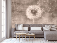 Фотообои Одуванчик сепия - 3