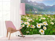 Фотошпалери ромашки і гори - 4