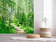 Фотошпалери Ліс, берізки - 2