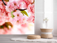 Фотошпалери Гілка ніжно-рожевих квітів - 2