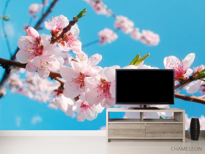 Фотообои Цветы персика - 2