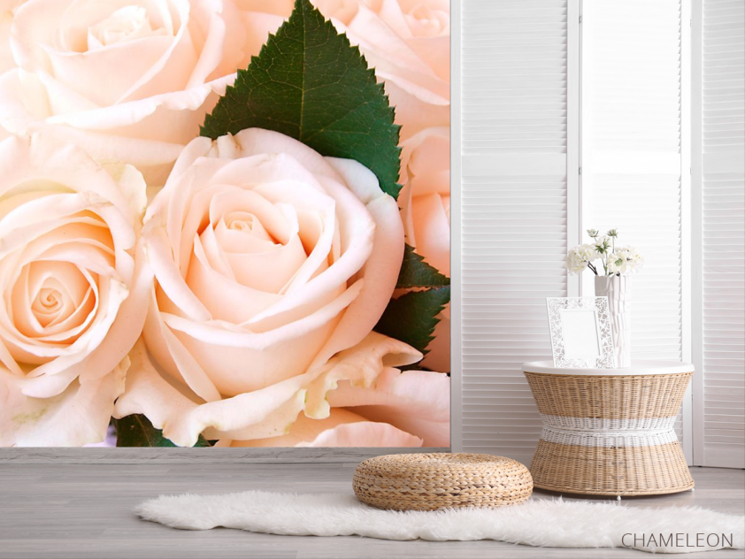 Фотошпалери Троянди - 2