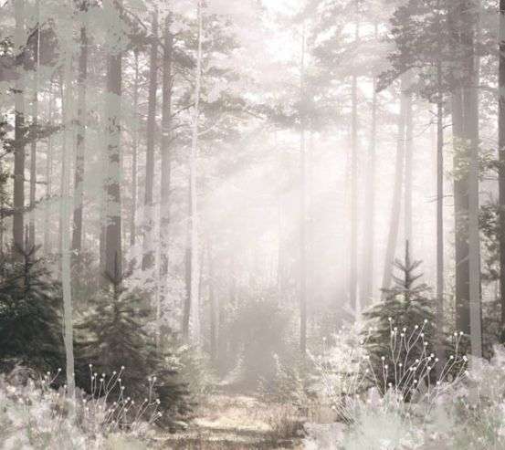 Фотошпалери дизайнерські дерева 30832