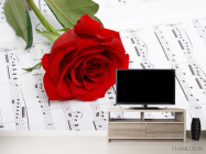 Фотообои Роза на нотах - 2