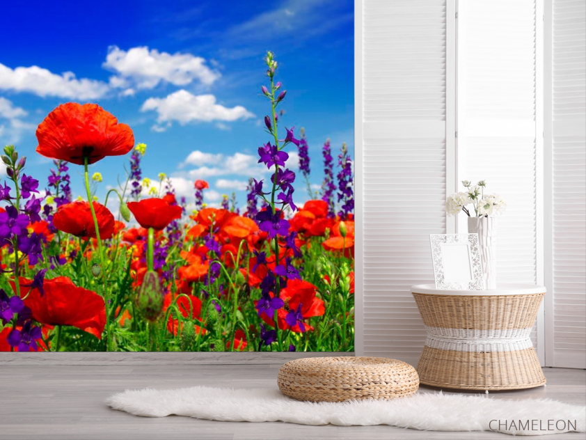 Фотошпалери Маки - 2