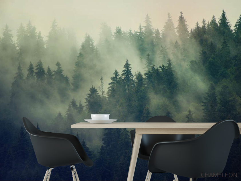 Фотошпалери туманні сосни - 1