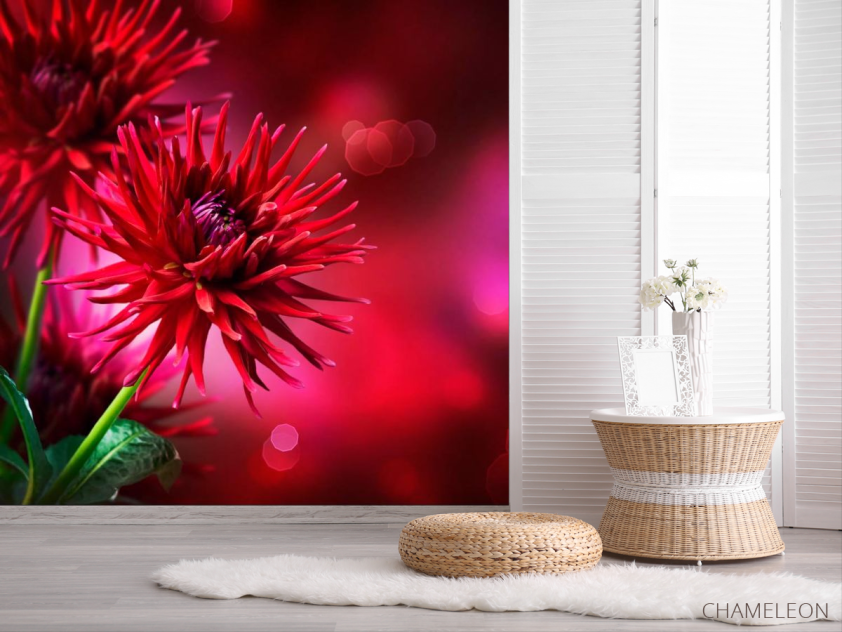 Фотообои Астры алые - 2