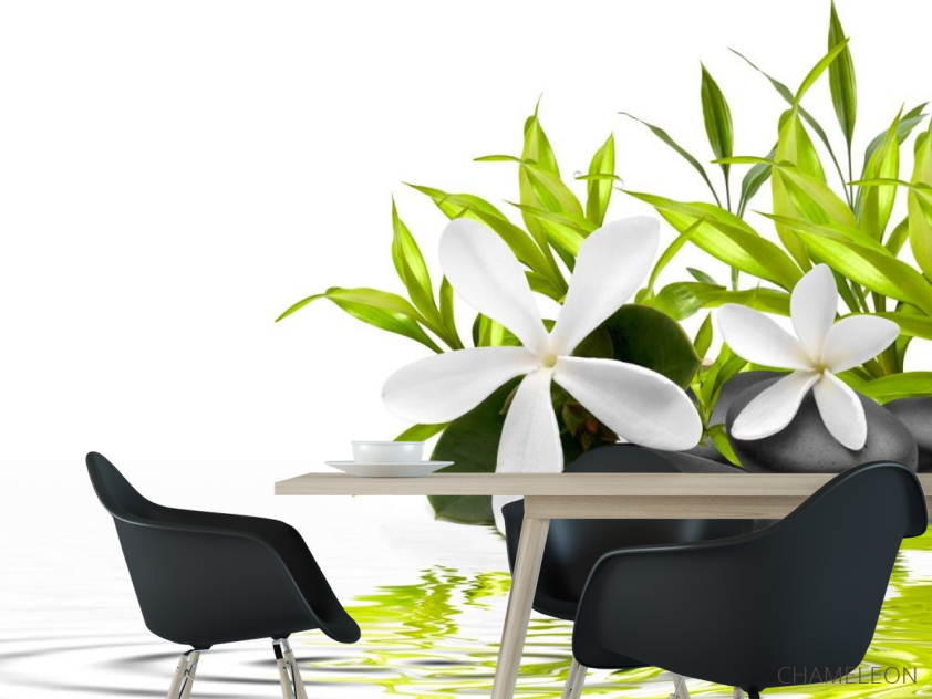 Фотошпалери Білі квіти - 1