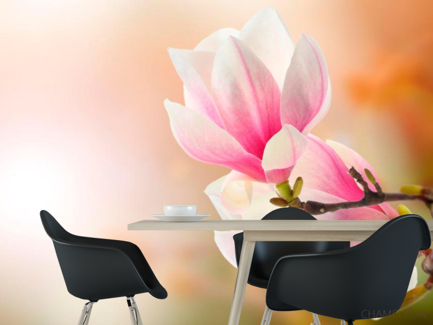 Фотошпалери На дереві розпустилися квіти - 1