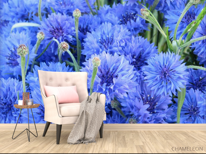 Фотообои Голубые васильки - 4