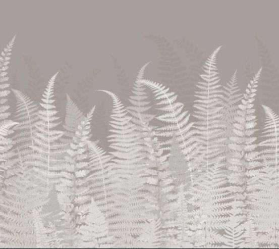 Фотообои Листья папоротника серые Фотообои Листья папоротника серые 33295_1