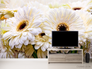 Фотообои кремовая гербера - 2