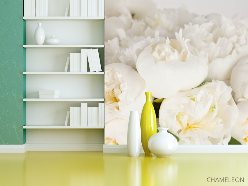 Фотошпалери білі півонії - 3