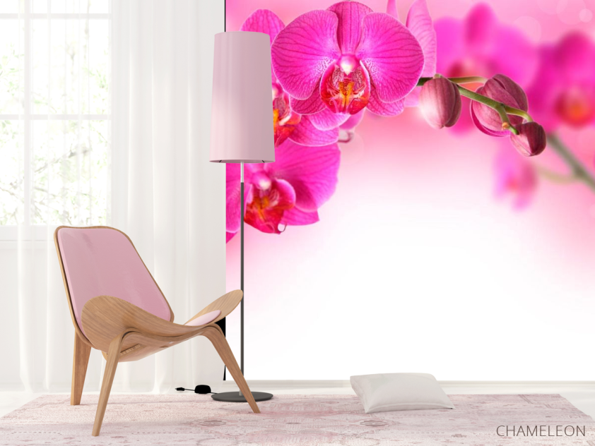 Фотошпалери Гілочка рожевих орхідей - 4