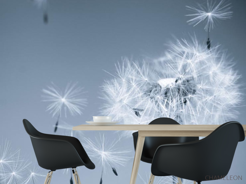 Фотошпалери Сірі кульбаби - 1