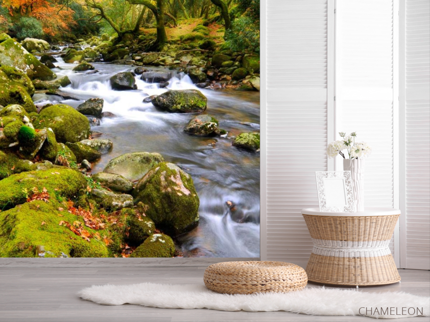 Фотошпалери Камені, мох - 2