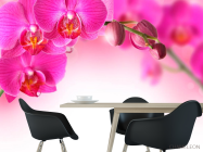 Фотошпалери Гілочка рожевих орхідей - 1