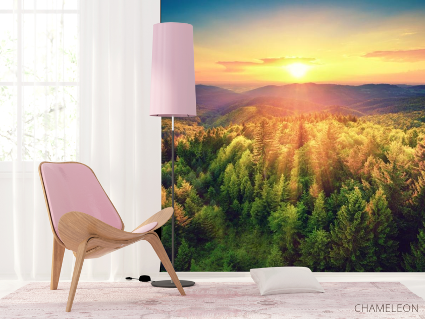 Фотошпалери захід сонця над сосновим лісом - 4