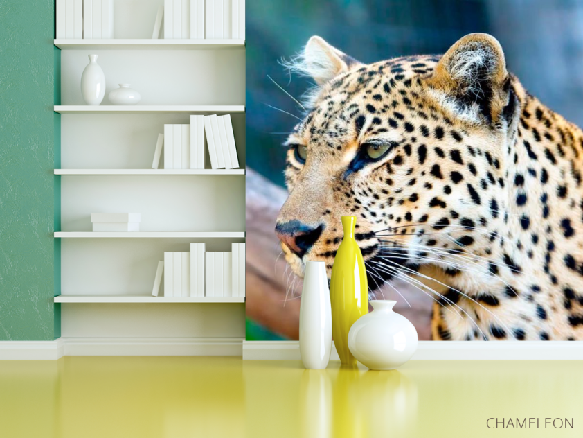 Фотошпалери Гордий гепард - 3