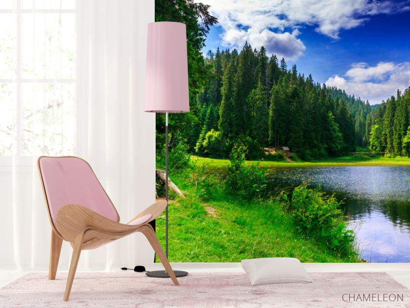 Фотошпалери озеро і ліс - 4