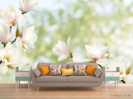 Фотообои Цветы магнолии - 1