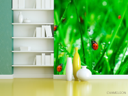 Фотошпалери Трава,божа корівка - 3