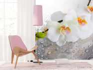 Фотошпалери Три білі орхідеї - 4