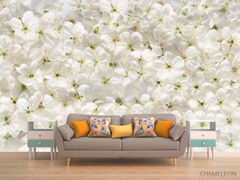 Фотообои белые цветы - 1