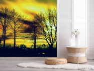 Фотошпалери жовте небо за деревами - 2