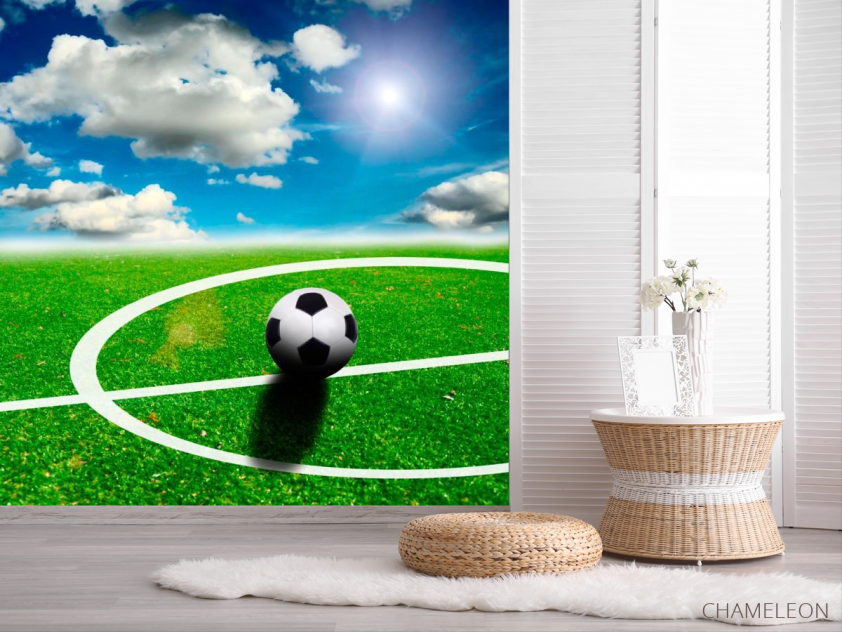 Фотообои Мяч на поле - 2
