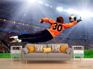 Фотообои Вратарь ловит мяч - 1