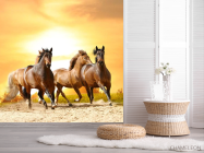 Фотошпалери Мустанги на прогулянці - 2
